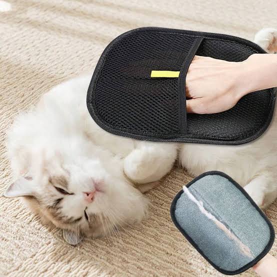Bye-Bye Pet Hair, Hello Clean Home!”
